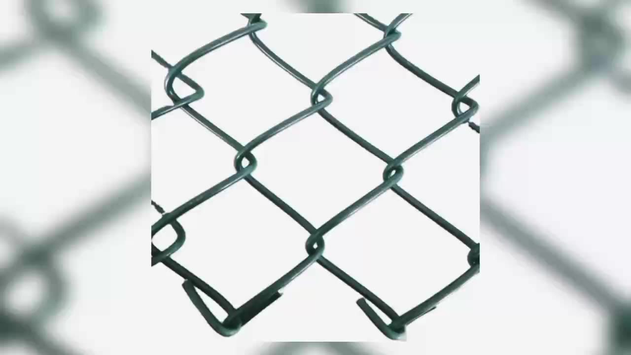 Bonne qualité Ligne de chaîne de prix clôture PVC PVC Link Fence1