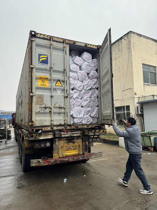 _20250317164447_副本_副本