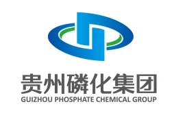 Neun Phosphogypsum -umfassende Nutzungstechnologien der Guizhou -Phosphor -Chemikaliengruppe bestanden die Akzeptanzinspektion