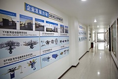 wenzhou changs international