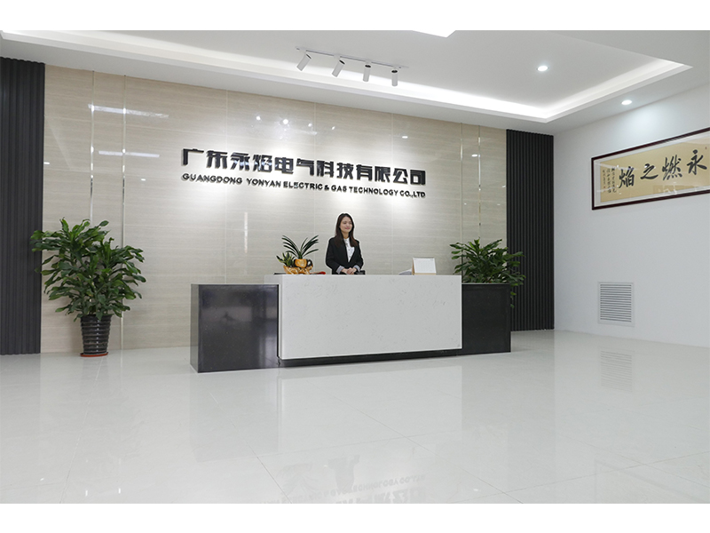 YONYAN ELECTRIC GAS TECHNOLOGY CO.,LTD