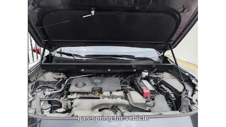 AIVideo_20260815_OxhJEgCVYnkX