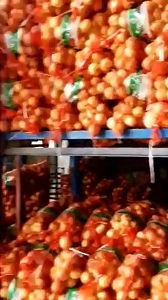 FRESH ONIONS JINING FUYUAN FRUITS AND VEGETABLES CO ,LTD