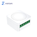 Cozylife BSD17 WiFi Mesh Smart Switch with Firmware Customization (No Energy Monitor, 10A)1