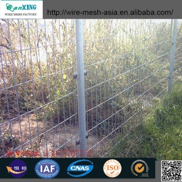 China Top 10 Galvanized Mesh Fence Brands