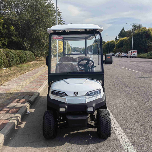 How to choose an Golf Cart that suits you?