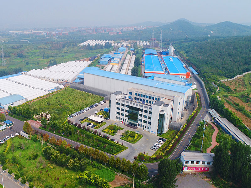 Shandong Qihe Bio Technology Co.,Ltd.