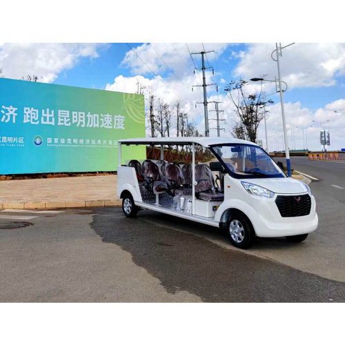 Choose Electric Sightseeing Car from multiple aspects?