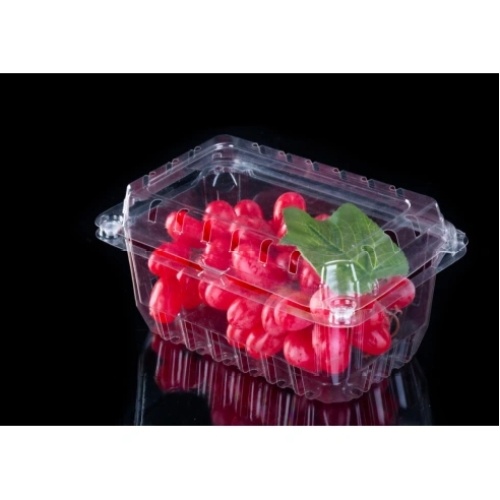 Evolution in Fresh Fruit Packaging: Focus on Fruit Clamshells and Clamshell Packaging for Strawberries and Blueberries