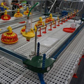 Poultry Automatic Feeder Chain Feeding System for Broiler and Breeder Hens1