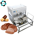 Gusu Chocolate Enrobing and Coating Machine for Biscuits/Candies/Cakes/Ice Cream TYJ10001