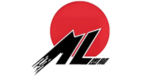Shandong Molong Power Co., Ltd