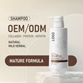 OEM ODM Supplier Wholesale Argan Oil Nourishing Repair Shampoo 400ML1