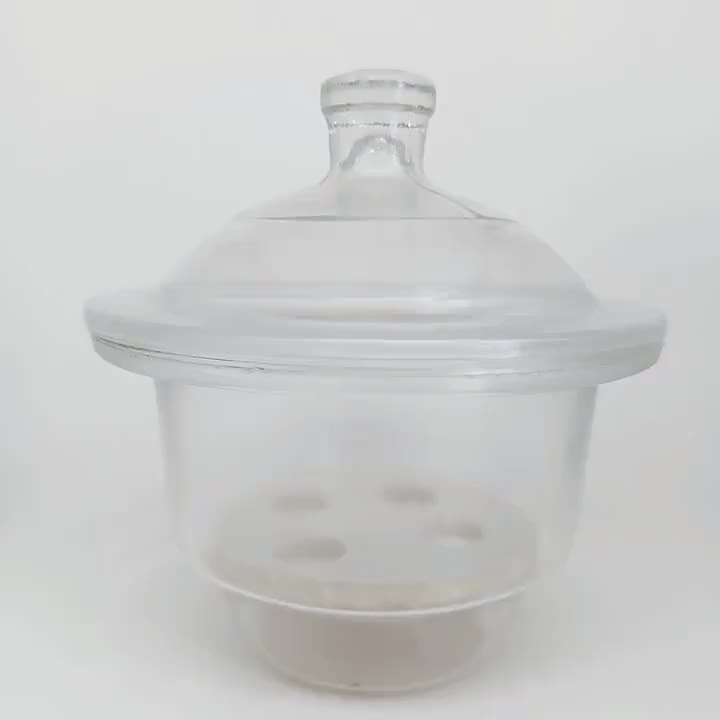 Clear Glass Desiccator