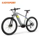 Bicicletta elettrica grigia 500w