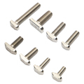 Manufacture and Supplier of Heavy Duty Stainless Steel T-Hammer Head Bolts in M6, M8 Sizes: Track T Screws1