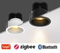 TUYA Zigbee Bluetooth Smart WiFi Dimmable RGBCW LED Wall Washer Ceiling Light1