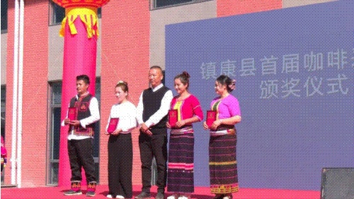 Crimson Berries & Sweet Aroma: Zhenkang County une-se ao Hali Coffee para sediar o primeiro festival de colheita de café