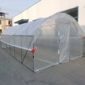 4x8m Plastic Walk-In Tunnel Greenhouse with Roller1