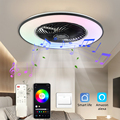 Smart Ceiling Fan with RGB LED Light and Remote Control1