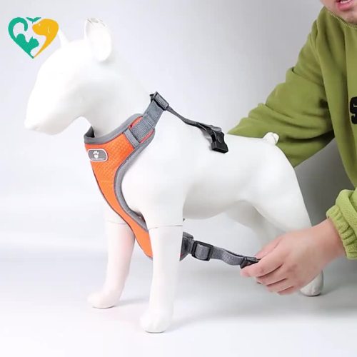 dog harness medium