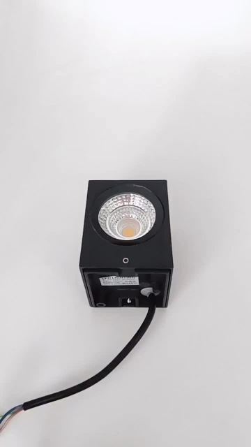 1010 小
