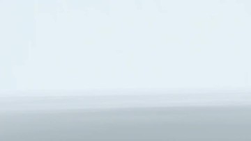 Company Profile