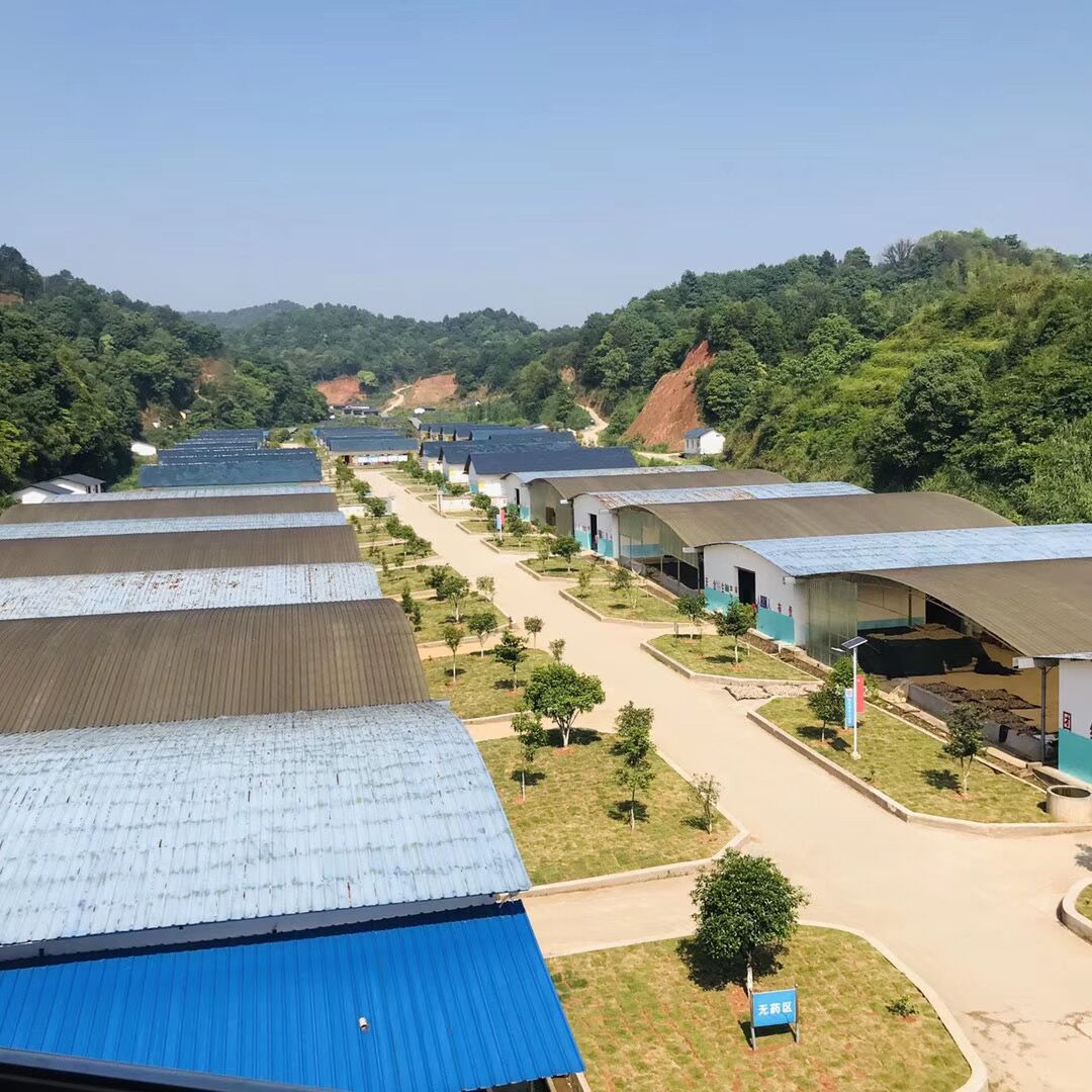 Wanzai Yongfeng Trading Co., Ltd.