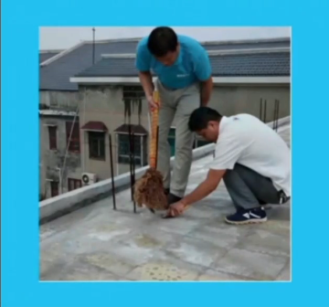 Construction steps of liquid coiled material