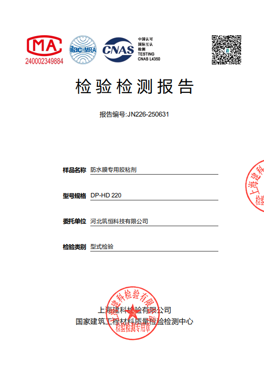 Type Inspection Report--DP-HD 220