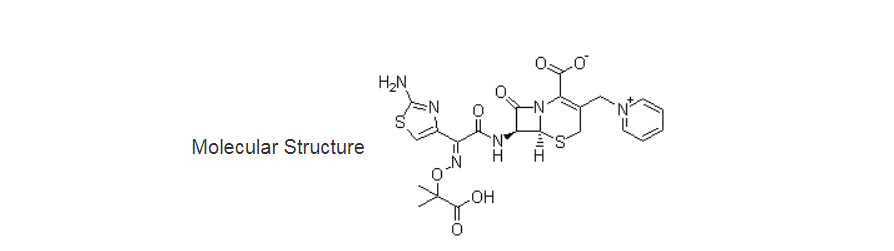Ceftazidime02