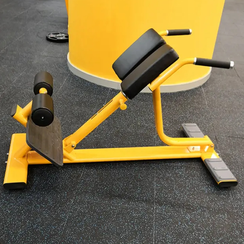 Back Extension Bench