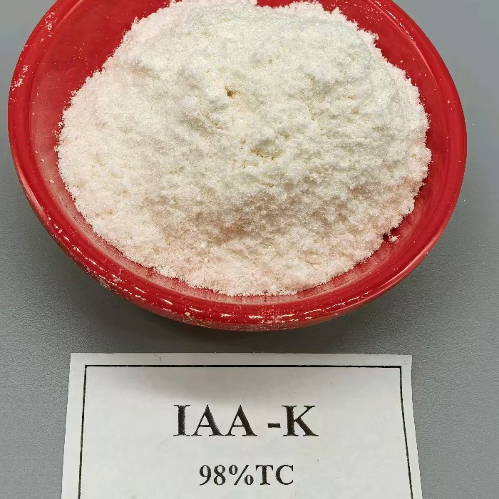 กรดอินโดล-3-อะซิติก เกลือโพแทสเซียม 98% IAA-K - ออกซิน
