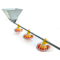 Chicken Feed Production Line and Brooder Feeder Systems for Farms1