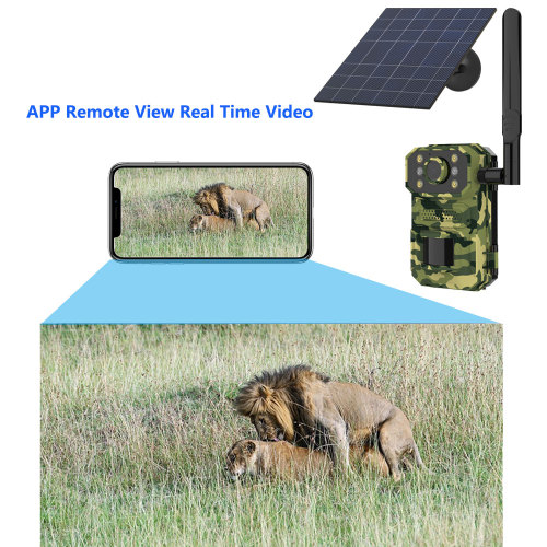 4G Outdoor Wireless Solar Hunt Camera