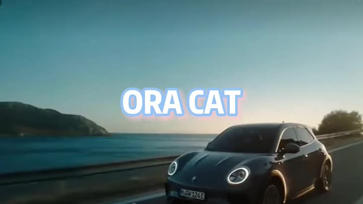 Neue Energie kleiner Elektrofahrzeug Ora Katze