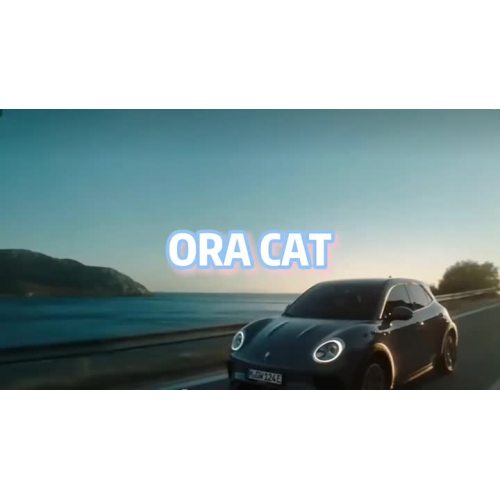 Новая энергия небольшой электромобиль Ora Cat