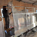 CE Certified Patented Treadmill for Horse Strength Training and Racing1
