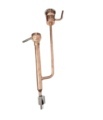 Copper Parrot Search1