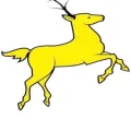 HAONUO