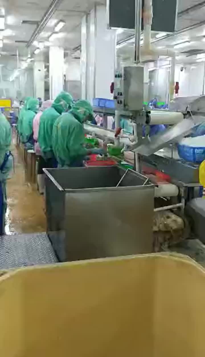 shrimp deheading production line