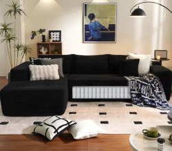 Conception et fonctionnalité du canapé comprimé