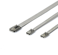 Stainless Steel Cable Ties for Special Designs - 201/304/3161