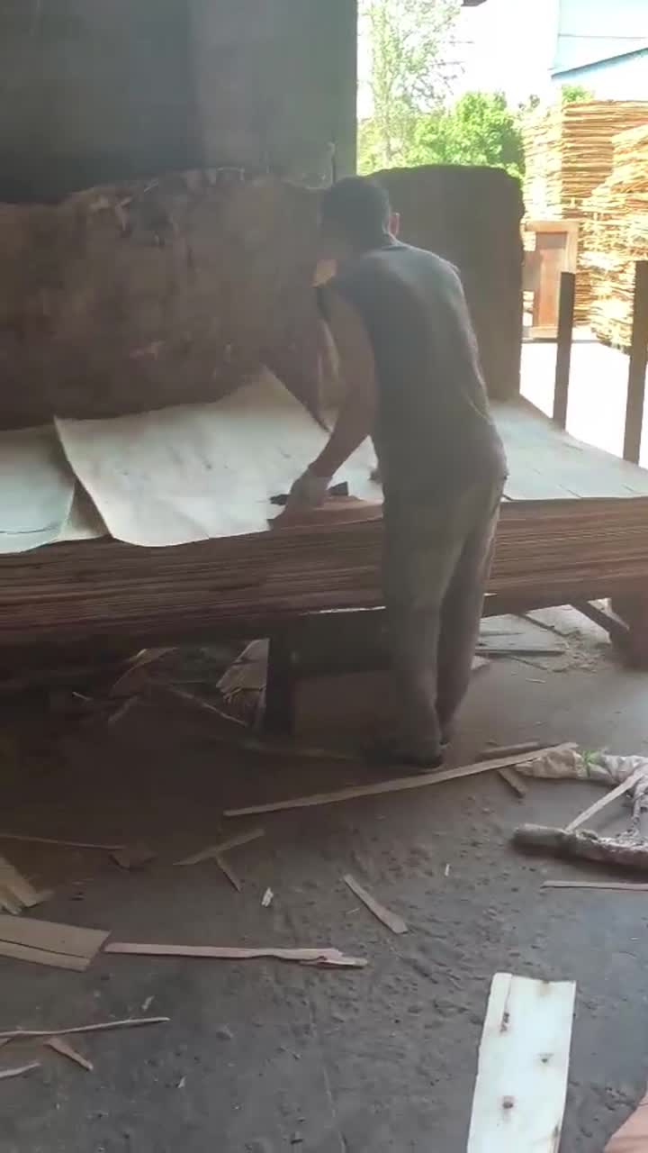 Trabajadores que producen madera contrachapada en Linyi Jiu Heng Wood