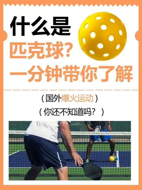 Die Entwicklung des Pickleballs: Vom Backyard -Zeitvertreib zum globalen Phänomen