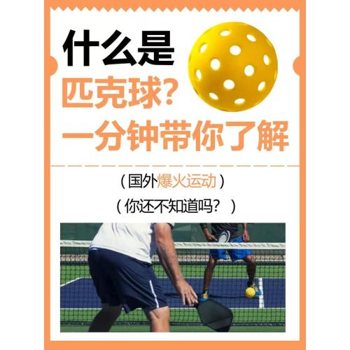 Die Entwicklung des Pickleballs: Vom Backyard -Zeitvertreib zum globalen Phänomen
