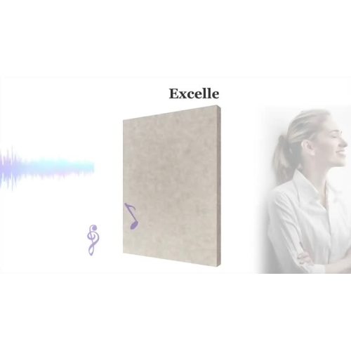 Acoustic panels polyester