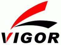 Vigor Plus Co., Ltd