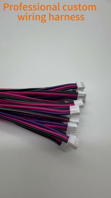 Professional custom wiring harness 1