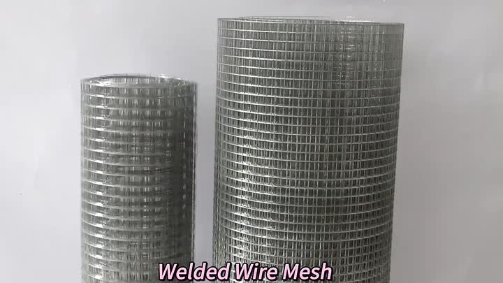 Stainless Steel Welded Wire Mesh